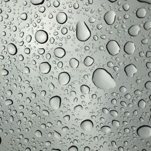 Meet your Posher, Janelle